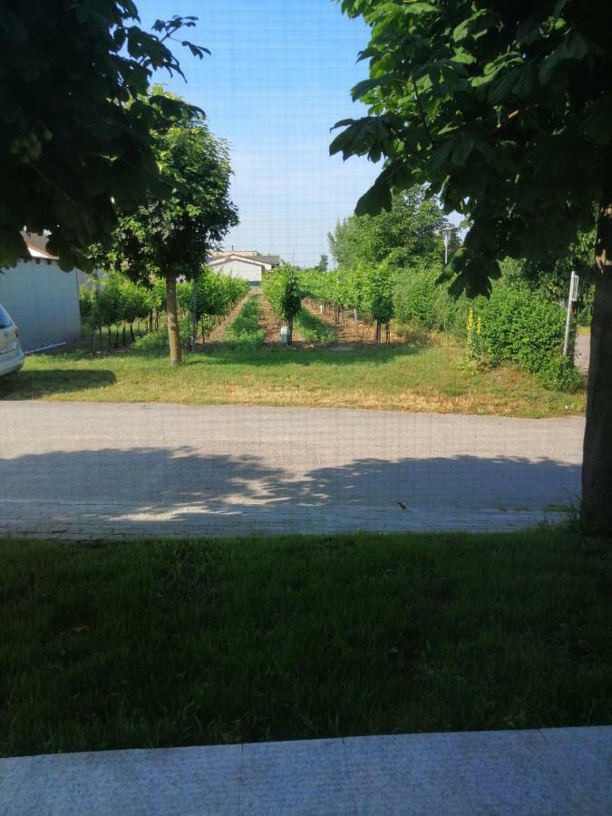 Campingblick-Gaestehaus-Ferienwohnungen Podersdorf am See Exterior foto